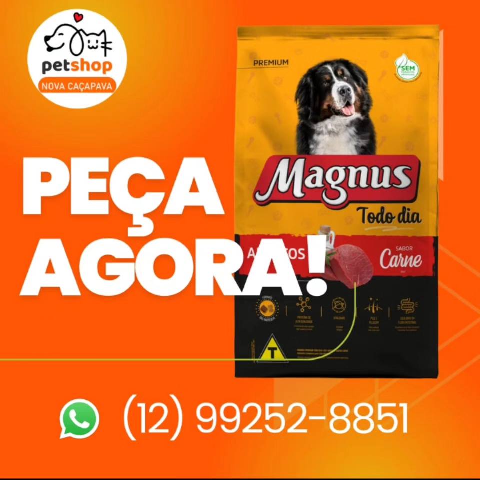 Estofado limpo profissionalmente em Caçapava - Antes e Depois 2